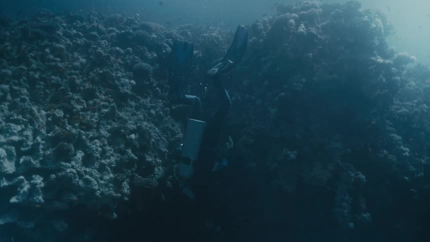Person swimming inside the sea under a reef