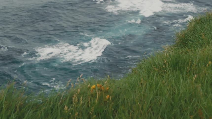 A puffin that was on a grassy area above the sea begins to fly