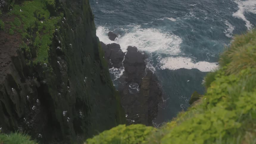 Panorama of a cliff by the sea with birds flying