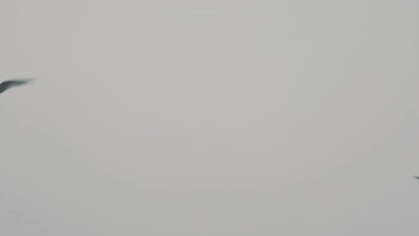 View of the cloudy sky with birds flying