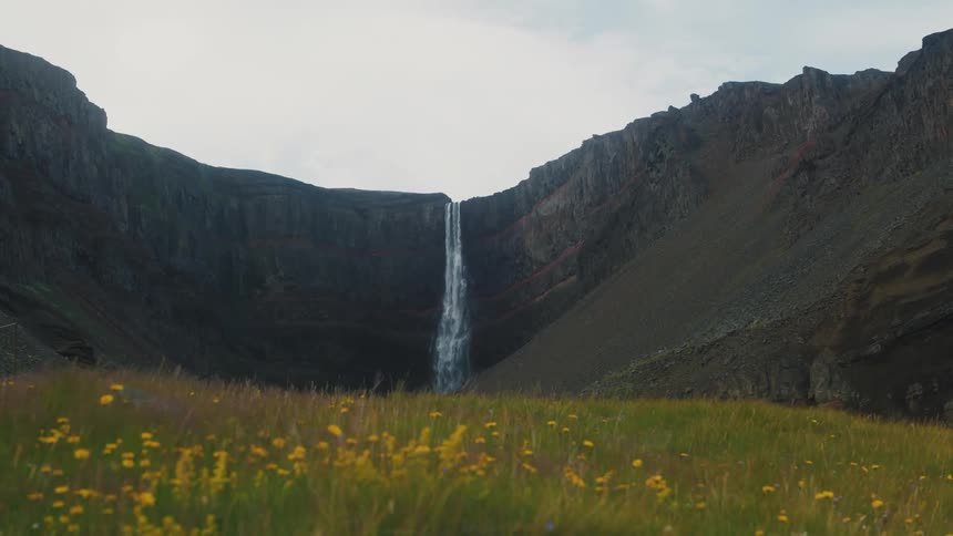Waterfalls flow over a mountain cliff as yellow flowers in a field move in the breeze