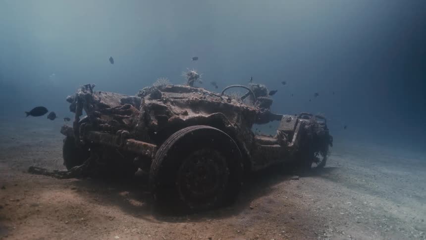 Fishes are swimming under the sea close to a car covered in ruin on the ocean floor