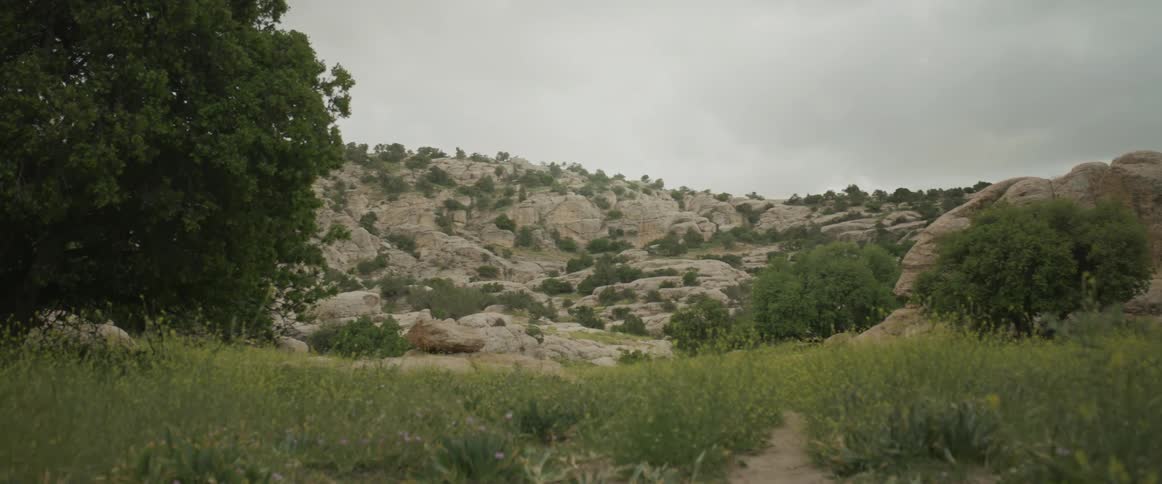 A meadow with rocky hills during cloudy day