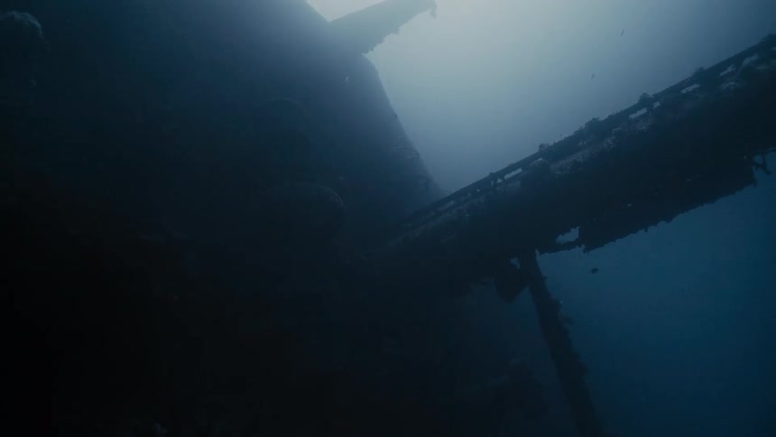 Fish swimming in a sunken ship at the bottom of the ocean