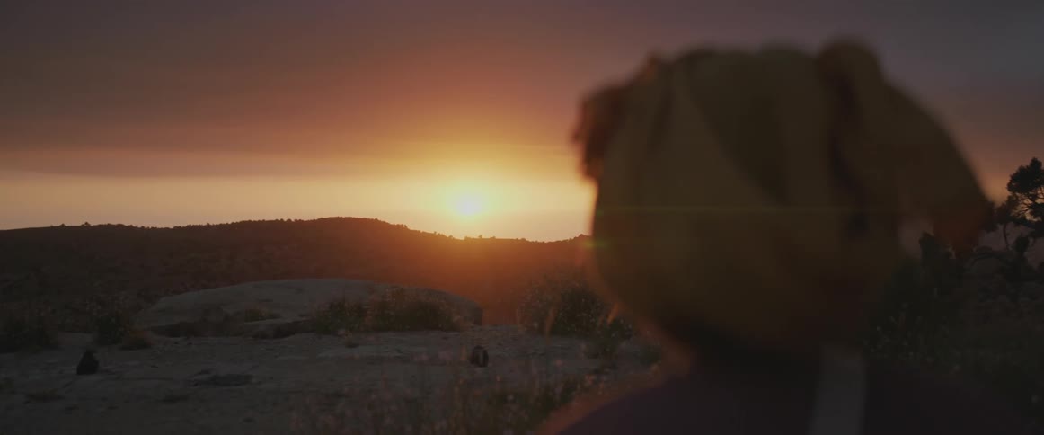 A woman stands before the desert on a windy dusk