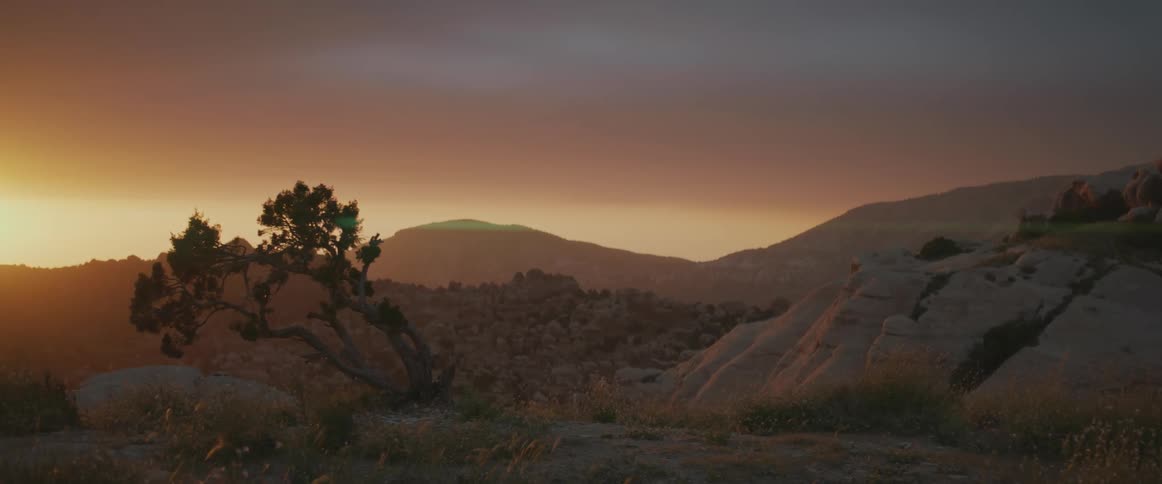 Plants near snow covered mountains move in the breeze as the sun glows in the distance