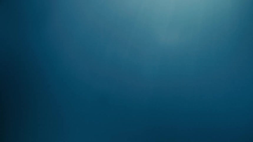 Sunlight shining underwater