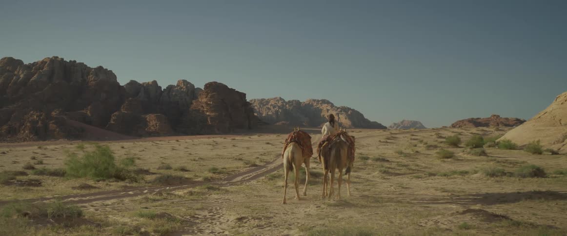 Man riding a camel with two other camels behind in a natural environment