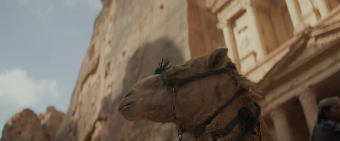 A camel at an archaeological site on a sunny day