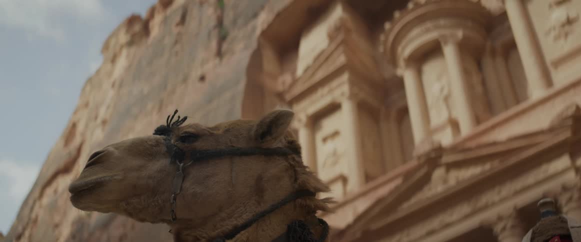 A camel in front of the ruins of a castle in the desert