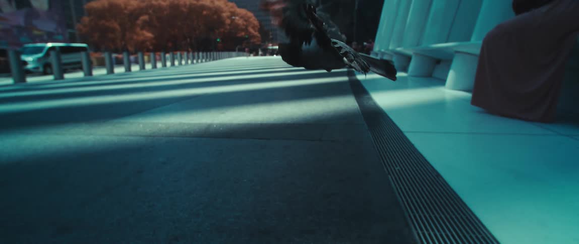 Pigeon takes flight from a sidewalk soaring above the street