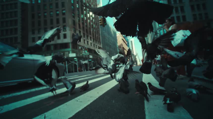 Pigeons flying in the streets of a busy city