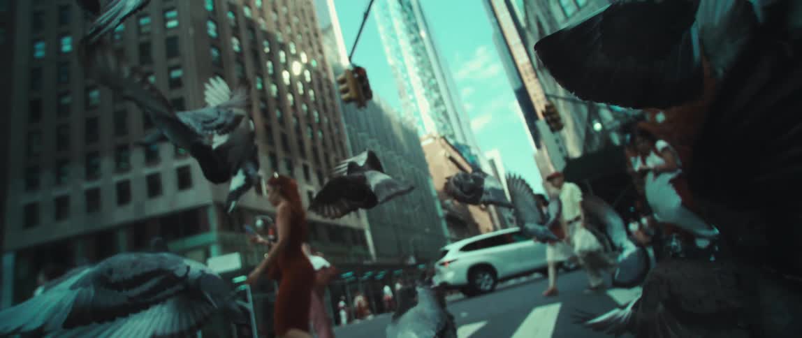 View of a walkway in the middle of a metropolis with people crossing and a cluster of voodoo doves