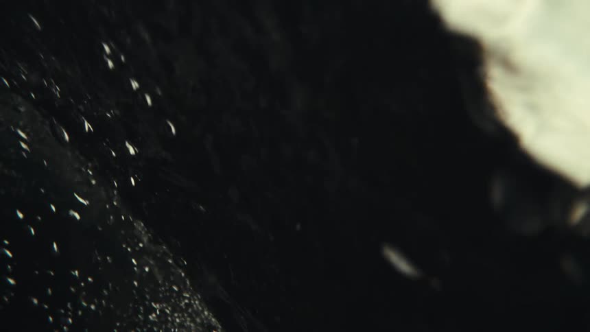 A darkcolored liquid moving in one direction