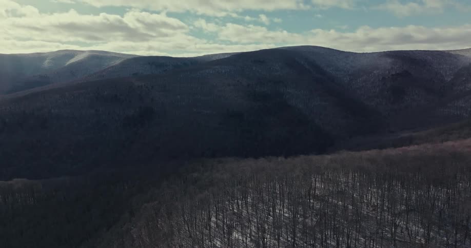 Aerial view of a large area of land covered with barren trees and a mountain range