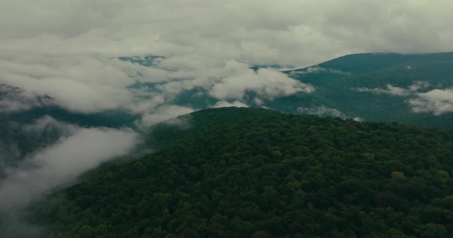 Aerial of forests and hills during cloudy day