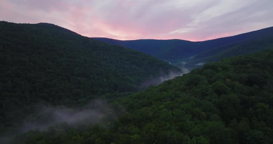 Aerial of foggy forest during dawn
