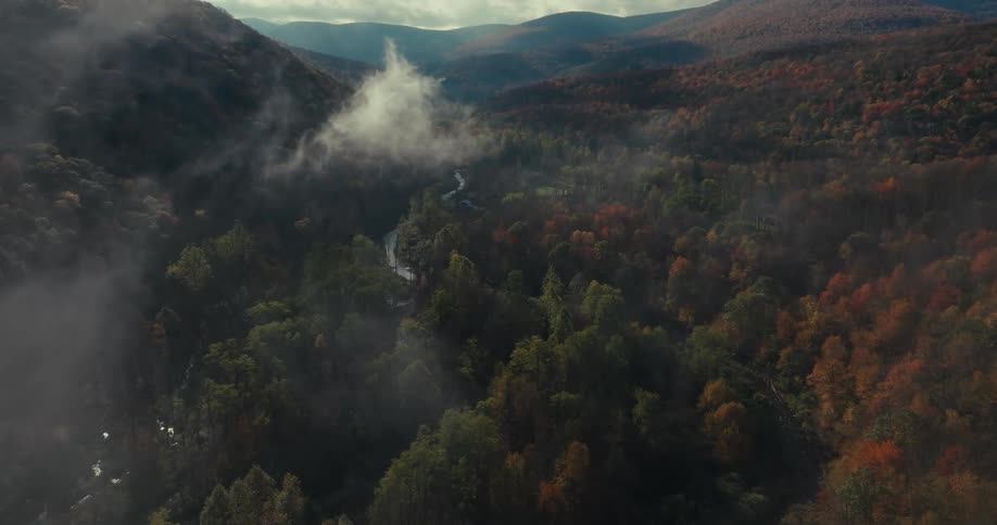 Aerial of the forest with a small river during the cloudy morning