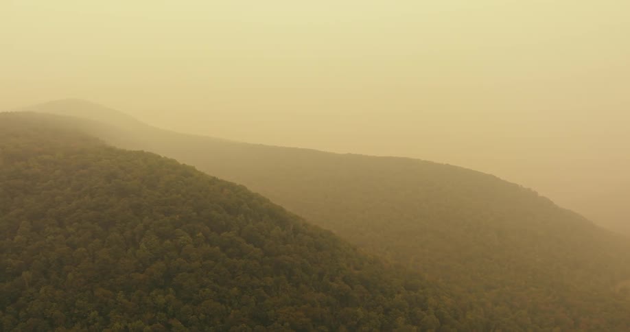Aerial of forest covered by smog