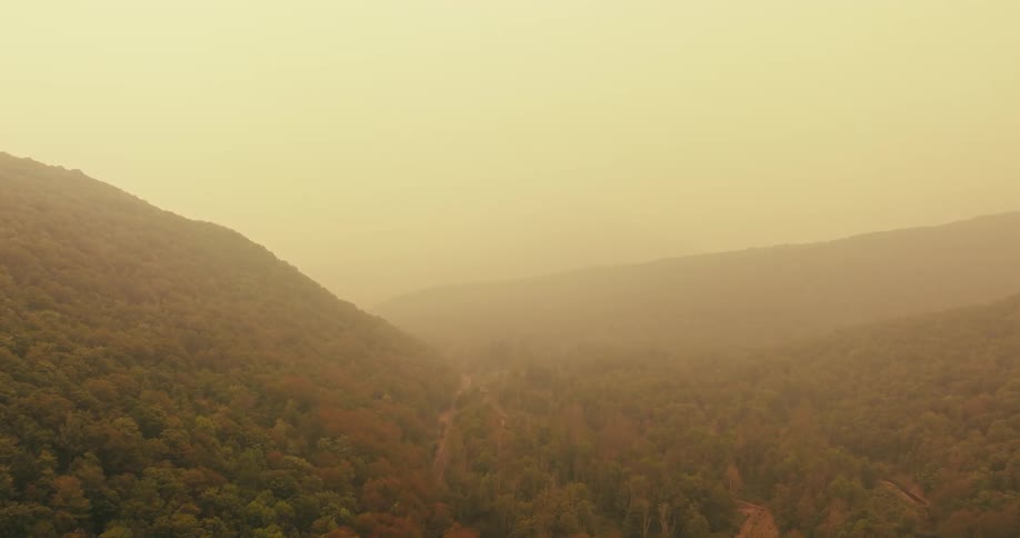 Mountain range with forests and fog under a yellowish dawn sky