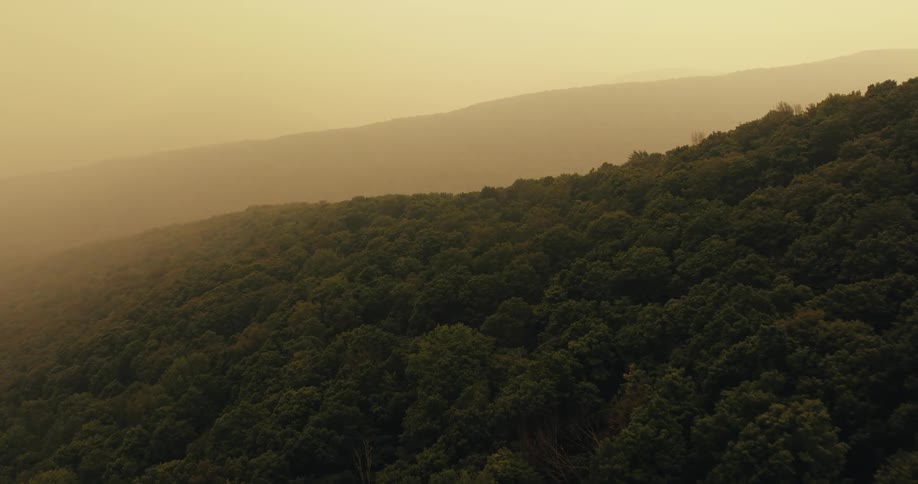Panorama of a mountain range with forests and fog