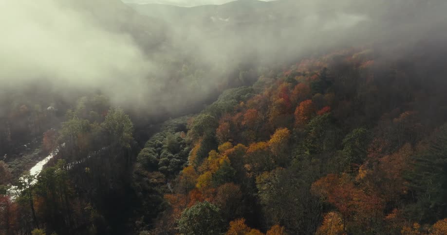 Aerial of a river surrounded by forest during a cloudy morning