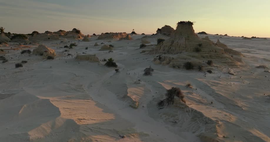 Panorama of a desertic terrain with very low vegetation under a dawn sky