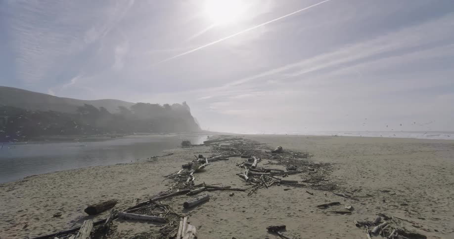 Panorama of a beach with calm water and birds flying overhead
