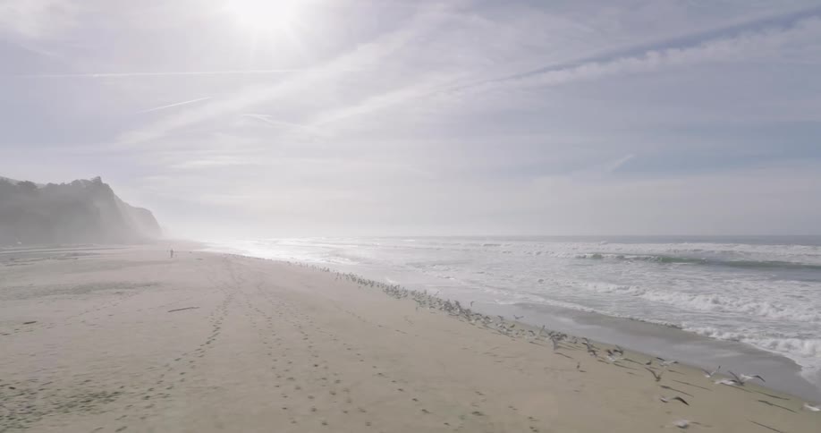Panorama of a beach with a vast sandy landscape on a sunny day