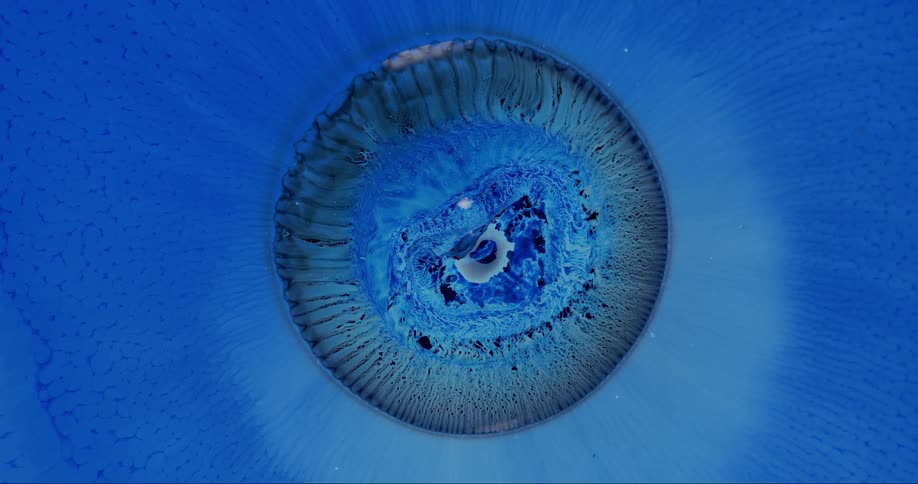 Extreme closeup of an abstract blue fluid expanding