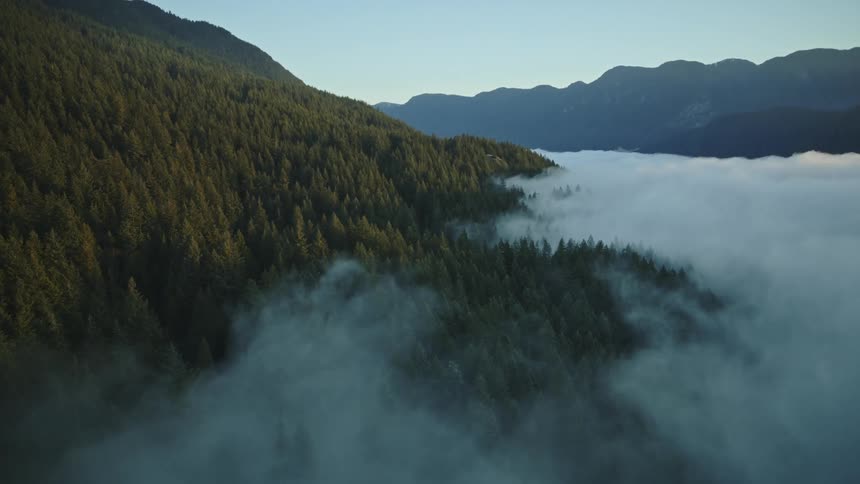 Aerial view of a forested mountain valley covered in a sea of fog