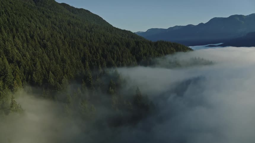 Mountain range with trees and layers of fog