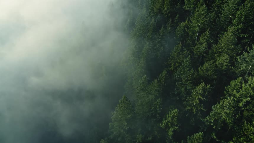 Aerial view of morning sun penetrating the thick fog into a forested mountain hill