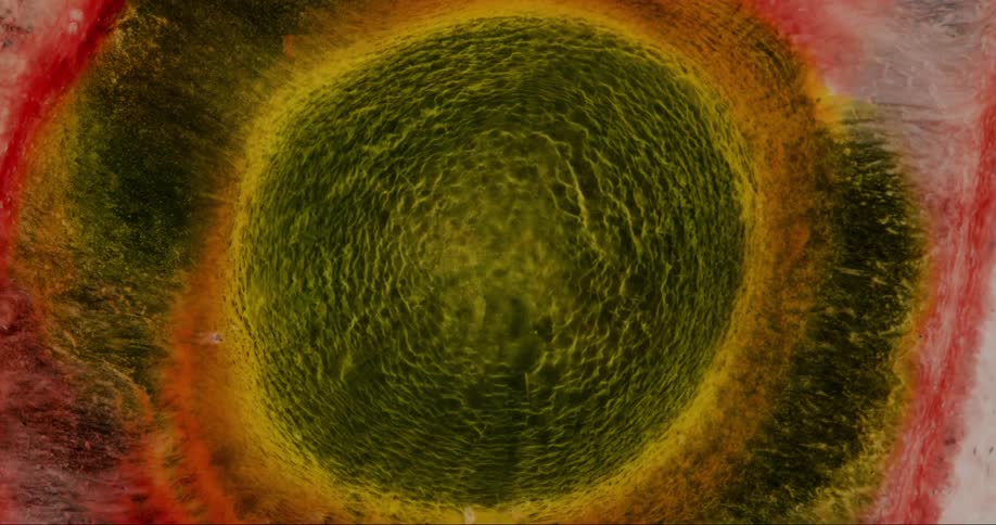 Extreme closeup of a microscopic view of a green colored bubble in slow motion