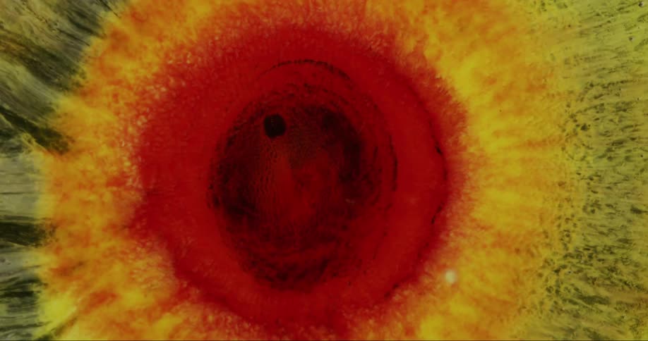 Concentric layers of color mix and spread from concentrated red of the center of mixture and outward