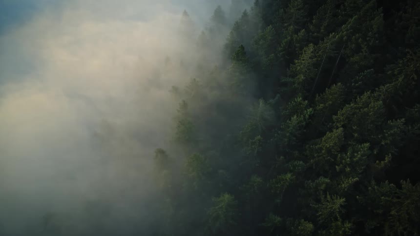 Aerial of a mountain forest at sunrise as light pokes through the morning fog