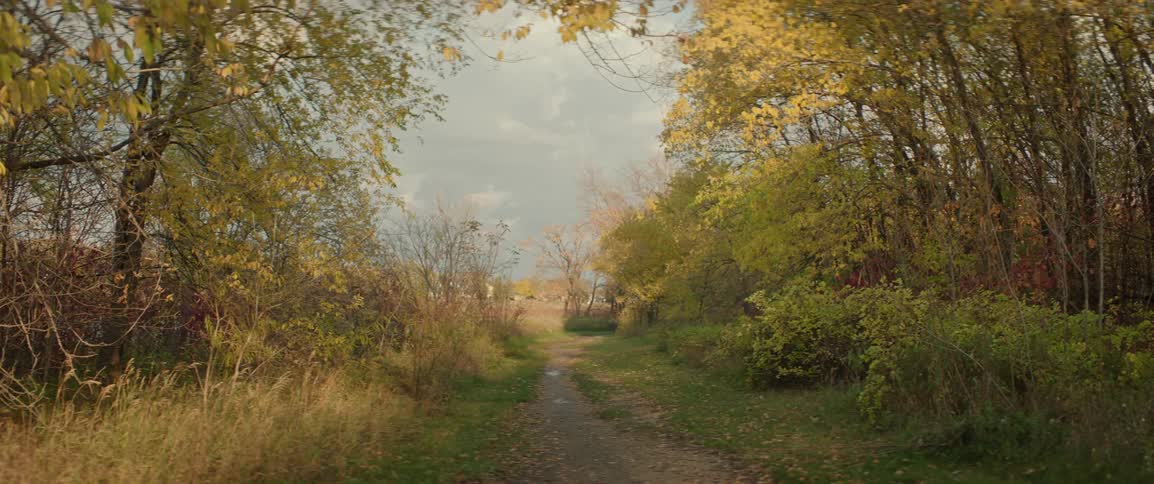 A small path through the woods leads to the river bank