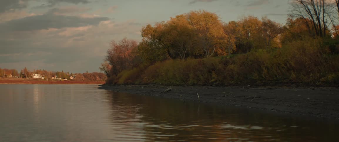 Vibrant orange trees sit on a river bank in an autumn sunset