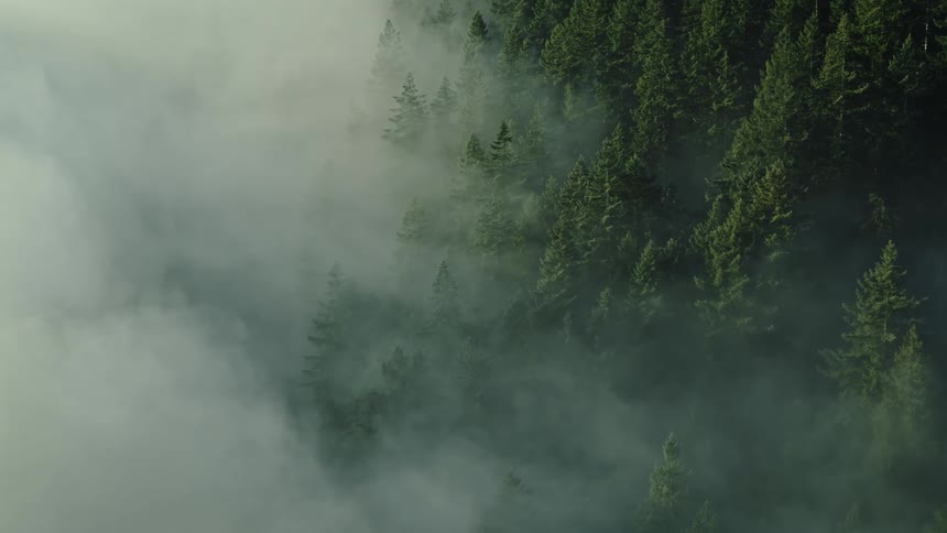 Aerial view of layers of thick fog coating a forested mountain with sunshine breaking through