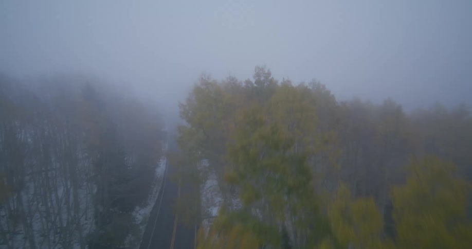 Aerial drone view of a car driving on a road through the woods on a foggy winter morning