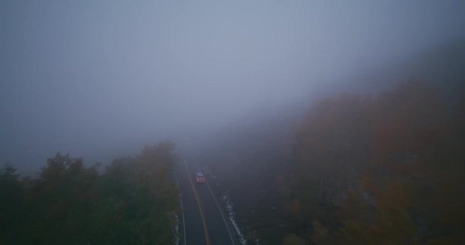 Cars driving across the woods on a foggy road