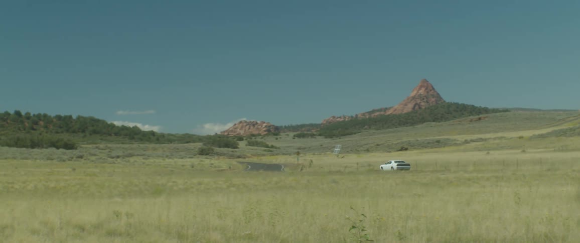 A car drives past the long field
