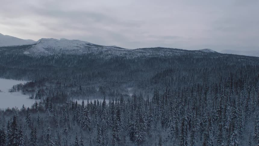 An aerial view of a snow covered forest and mountain on an overcast day