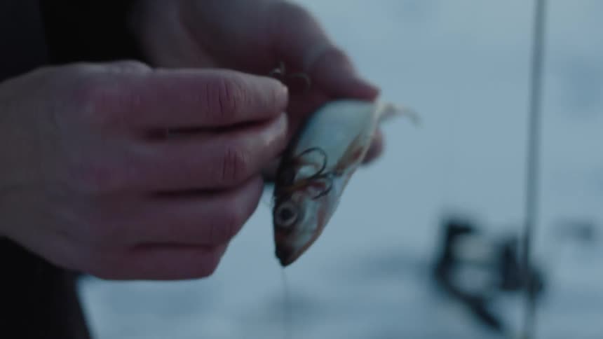 A man sliding hooks into a bait fish