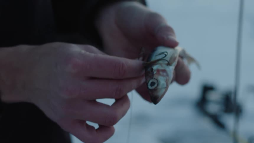 A man is using a small fish as bait on hooks