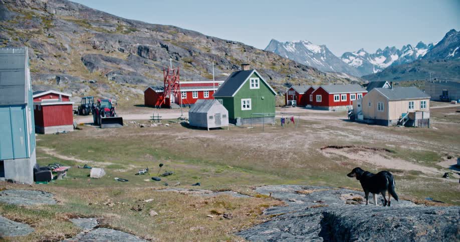 Dog looking at the colorful houses on a small rural town in the mountains