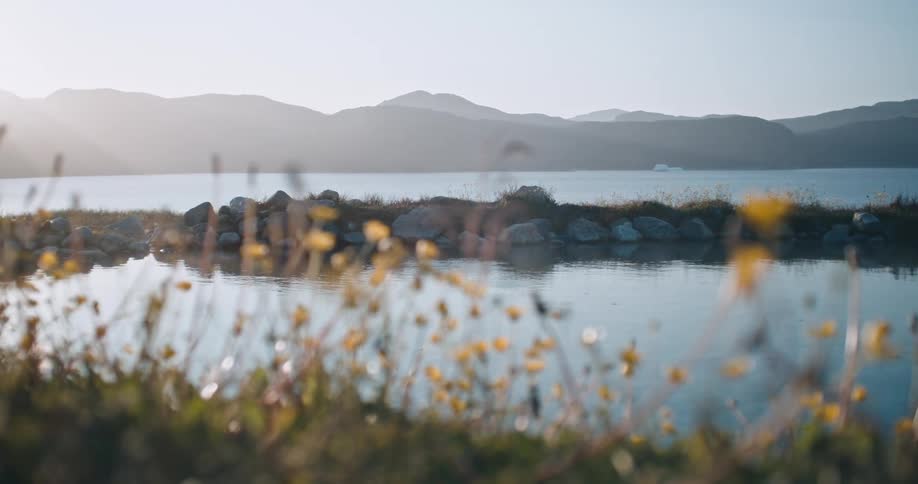 A mountain sits behind a lake and tiny yellow flowers in the grass