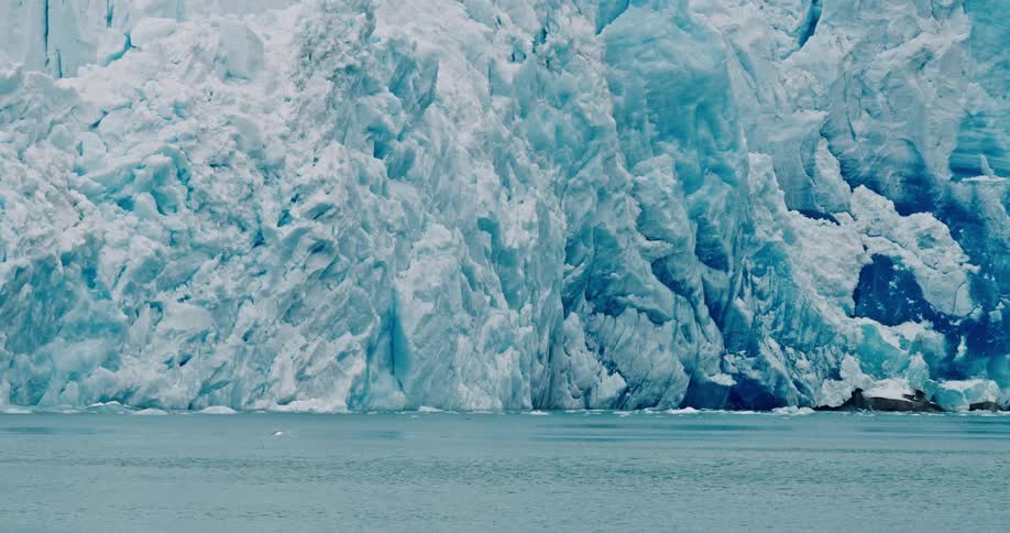 Seagulls in front of a glacier in Greenland