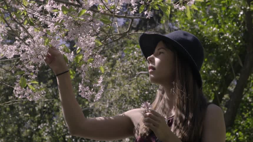 A woman is pulling a blossom off of a tree