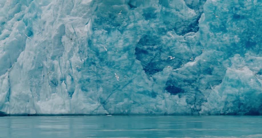 Birds flying in front of a glacier